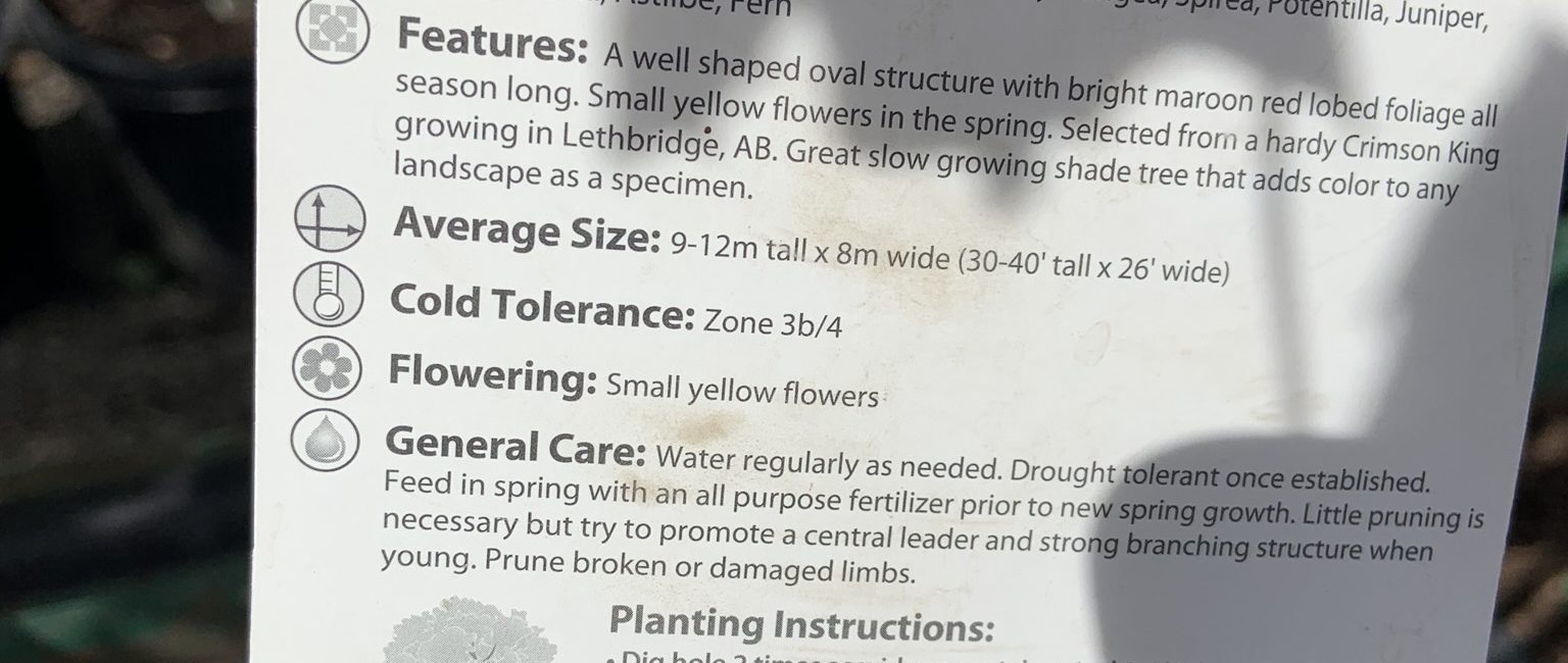 Choosing the perfect tree. This is a info sheet on a tree at a nursery, going over the size and hardiness zones.